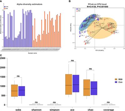 Exploring the alterations and function of skin microbiome mediated by ionizing radiation injury